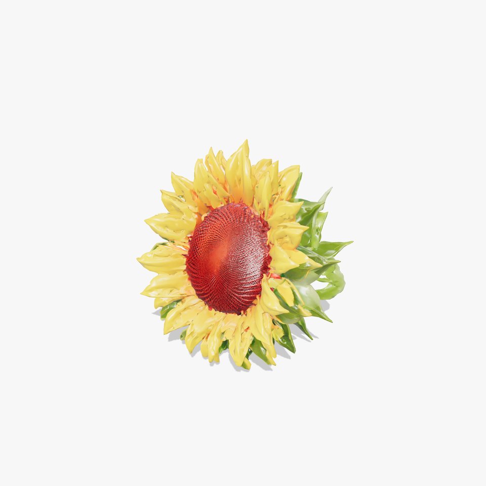 Unique Form Sunflower 3D Lifelike Model Pack